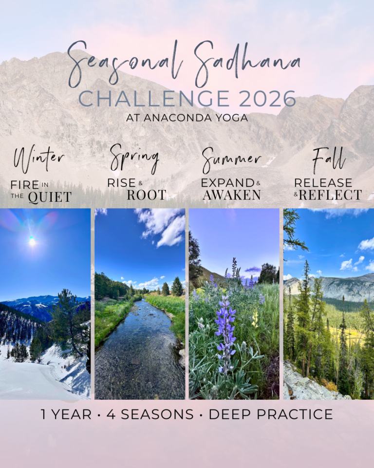 Seasonal Sadhana Challenge 2026 at Anaconda Yoga